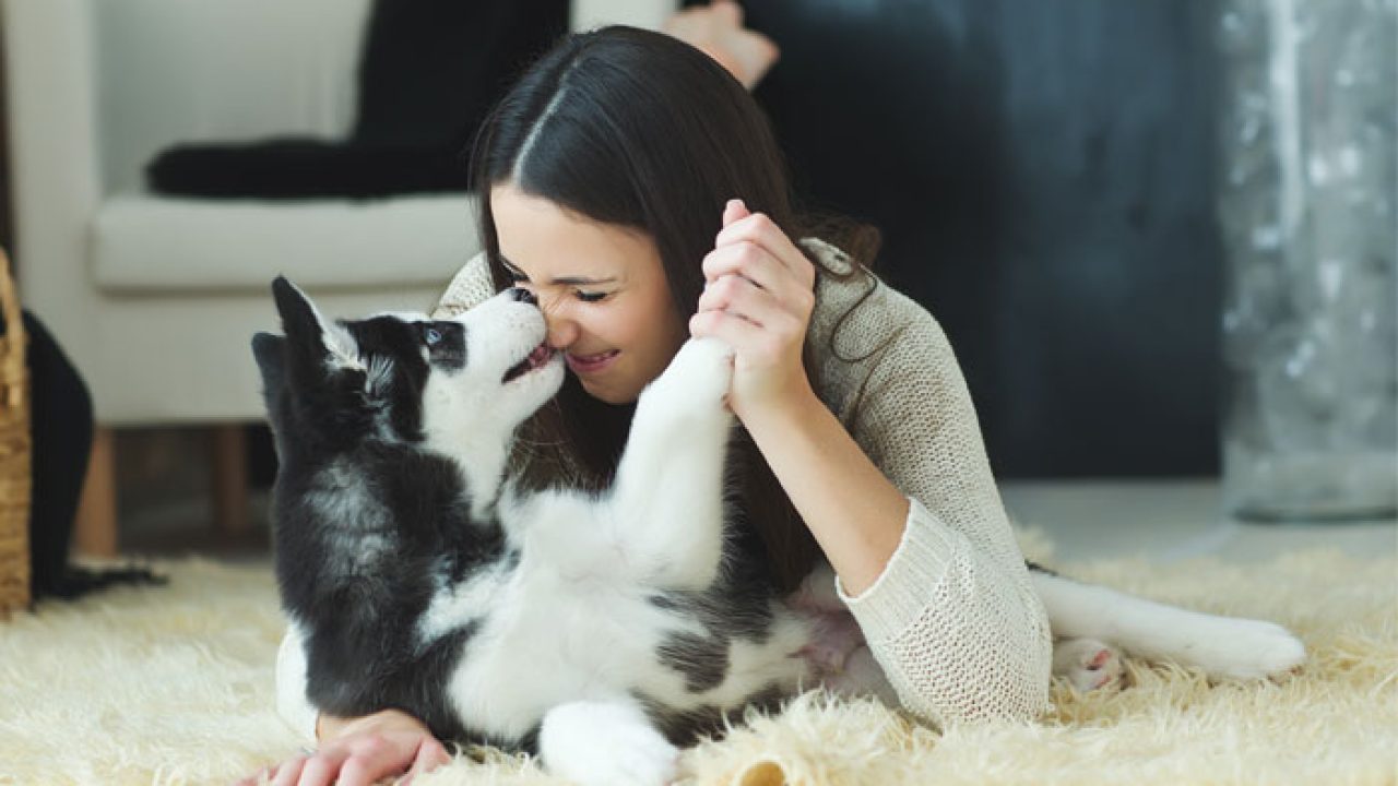 The benefits of loving your dog | Animal Chiropractor |Gold Coast